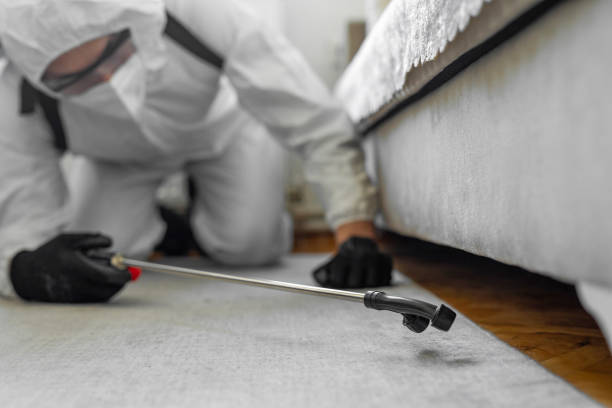 Professional Termite Control technician working in Fostoria, OH