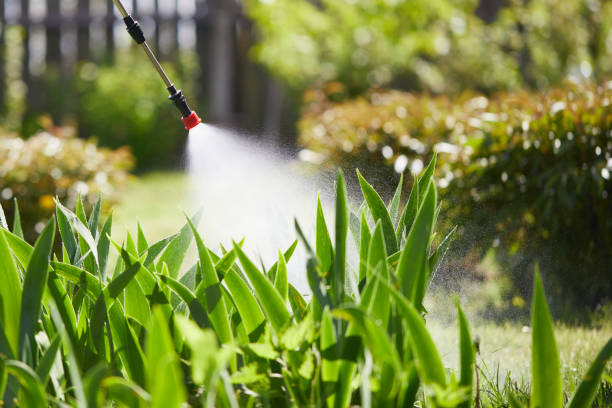 24/7 Emergency Termite Control experts in Fostoria, OH