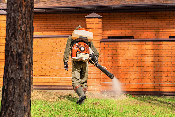 Top rated local Termite Control specialists in Fostoria, OH